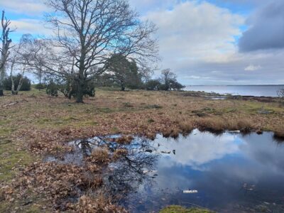 Lindö Naturreservat