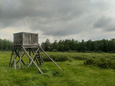 Allgunnens naturreservat