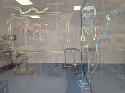 surgical theatre at Vets Now Guildford