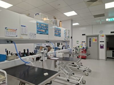 preep room Guildford