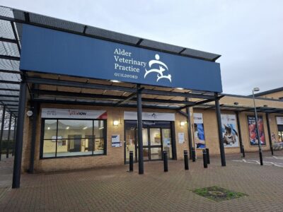 Vets Now Guildford, end of night shift