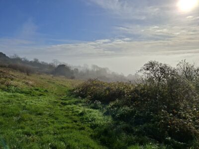 Newlands Corner