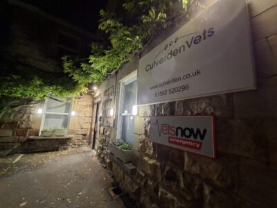 Vets Now Tunbridge Wells at night