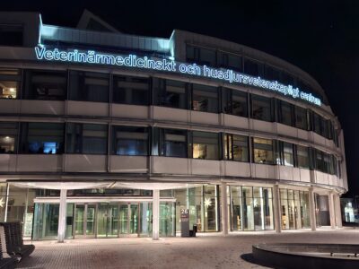 SLU Uppsala - Vet school :)