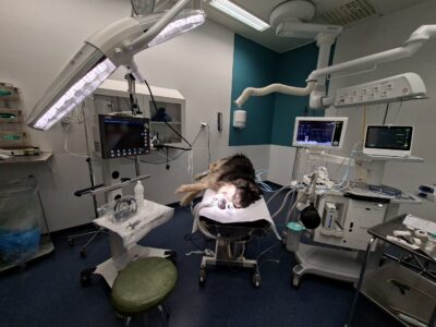 SLU - endoscopy department
