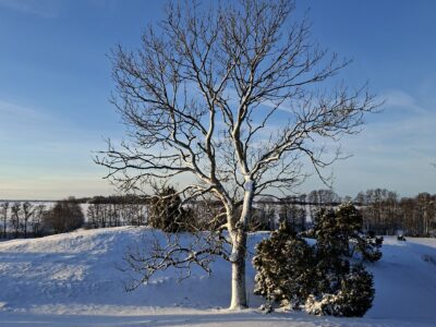 near Gamla Uppsala - winter walk