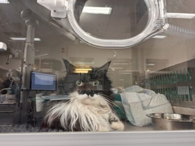 I am fine - why am I sitting here?
