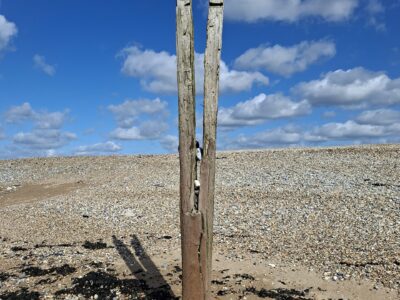 Seven Sisters Cliffs - on the walk
