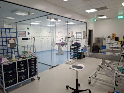 surgical suite - Vets Now Guildford