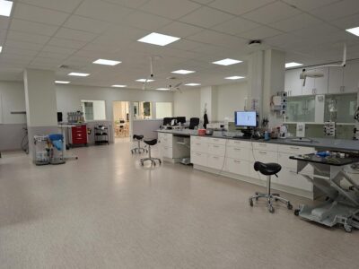 Awake Animal Hospital (1)