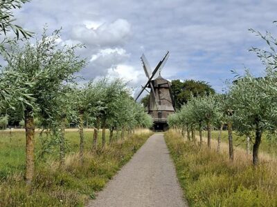 Fredriksdal Trädgård Helsingborg (2)