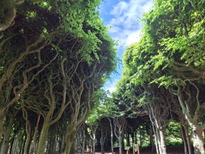 Sofiero Gardens (2)