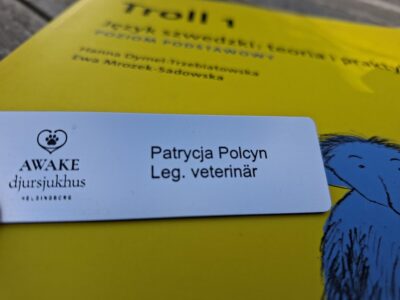 personal badge Awake
